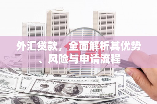 和布克赛尔外汇贷款，全面解析其优势、风险与申请流程