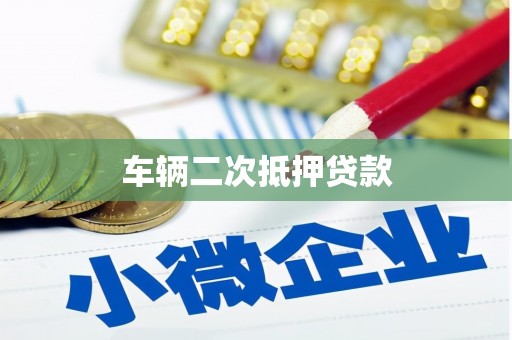 和布克赛尔车辆二次抵押贷款