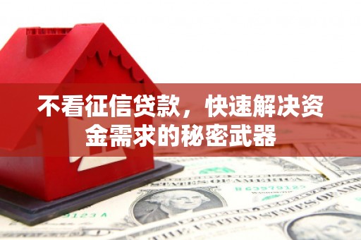 和布克赛尔不看征信贷款，快速解决资金需求的秘密武器