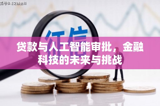 和布克赛尔贷款与人工智能审批，金融科技的未来与挑战