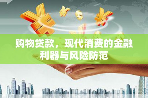 和布克赛尔购物贷款，现代消费的金融利器与风险防范