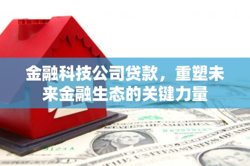 和布克赛尔金融科技公司贷款，重塑未来金融生态的关键力量