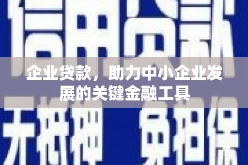和布克赛尔企业贷款，助力中小企业发展的关键金融工具