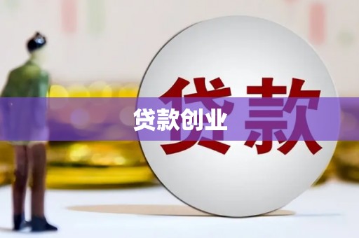 和布克赛尔贷款创业