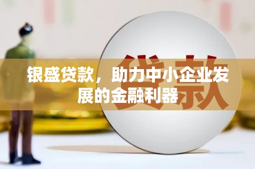 和布克赛尔银盛贷款，助力中小企业发展的金融利器