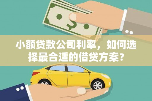 和布克赛尔小额贷款公司利率，如何选择最合适的借贷方案？