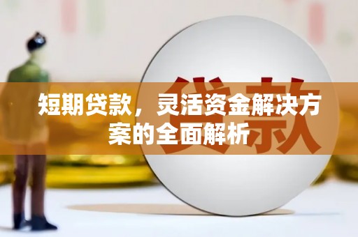 和布克赛尔短期贷款，灵活资金解决方案的全面解析