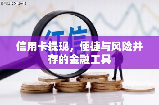 和布克赛尔信用卡提现，便捷与风险并存的金融工具