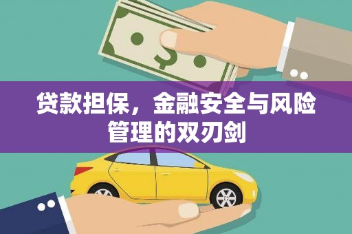 和布克赛尔贷款担保，金融安全与风险管理的双刃剑