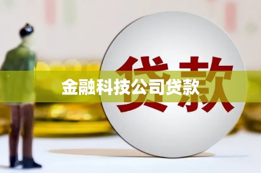 和布克赛尔金融科技公司贷款