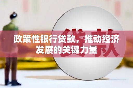 和布克赛尔政策性银行贷款，推动经济发展的关键力量