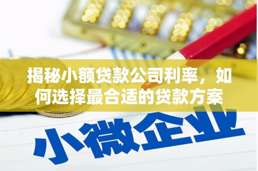 和布克赛尔揭秘小额贷款公司利率，如何选择最合适的贷款方案