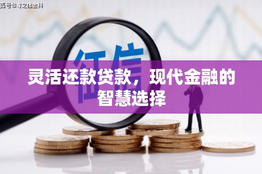 和布克赛尔灵活还款贷款，现代金融的智慧选择