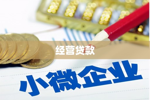 和布克赛尔经营贷款