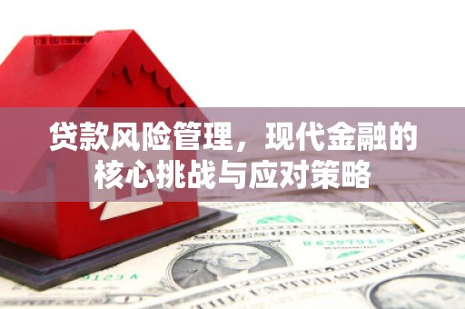 和布克赛尔贷款风险管理，现代金融的核心挑战与应对策略