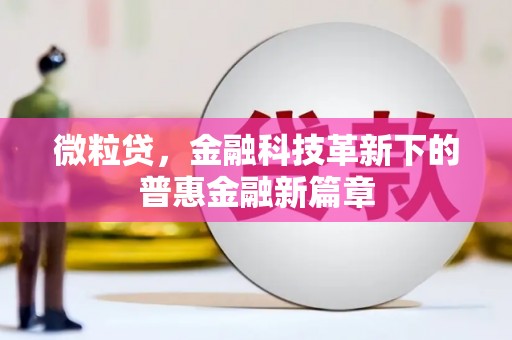 和布克赛尔微粒贷，金融科技革新下的普惠金融新篇章