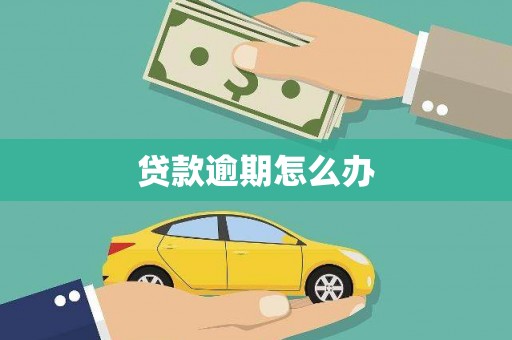 和布克赛尔贷款逾期怎么办