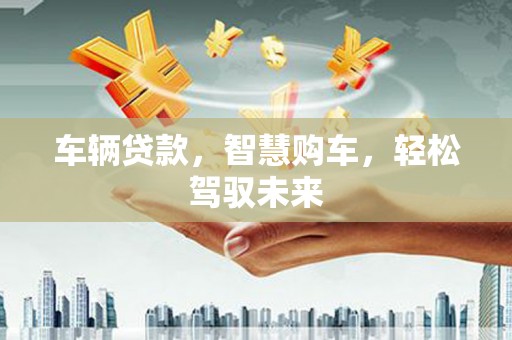 和布克赛尔车辆贷款，智慧购车，轻松驾驭未来