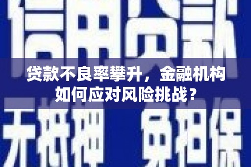 和布克赛尔贷款不良率攀升，金融机构如何应对风险挑战？
