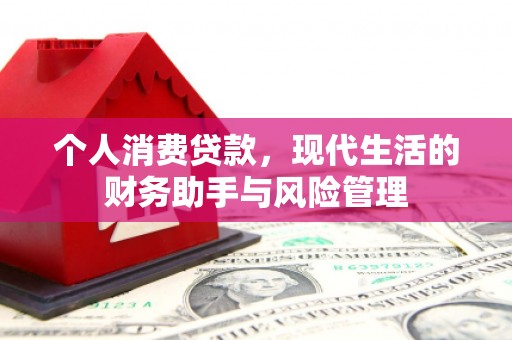 和布克赛尔个人消费贷款，现代生活的财务助手与风险管理
