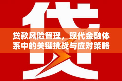 和布克赛尔贷款风险管理，现代金融体系中的关键挑战与应对策略