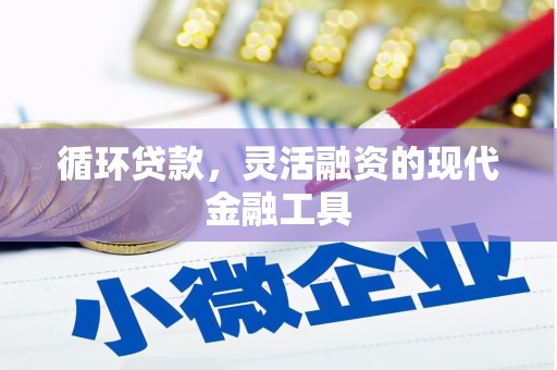 和布克赛尔循环贷款，灵活融资的现代金融工具