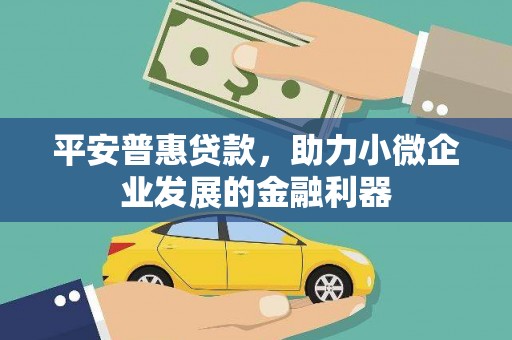 和布克赛尔平安普惠贷款，助力小微企业发展的金融利器