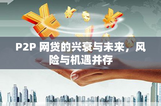 和布克赛尔P2P 网贷的兴衰与未来，风险与机遇并存