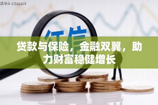和布克赛尔贷款与保险，金融双翼，助力财富稳健增长