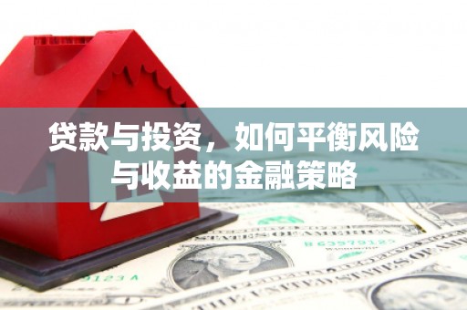 和布克赛尔贷款与投资，如何平衡风险与收益的金融策略