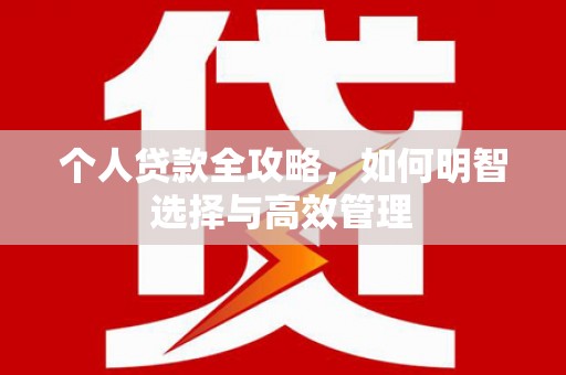 和布克赛尔个人贷款全攻略，如何明智选择与高效管理