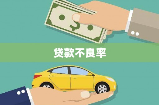 和布克赛尔贷款不良率