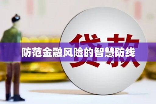 和布克赛尔防范金融风险的智慧防线