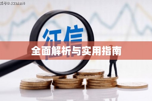 和布克赛尔全面解析与实用指南