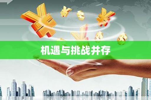 和布克赛尔机遇与挑战并存