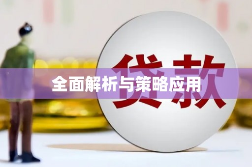 和布克赛尔全面解析与策略应用