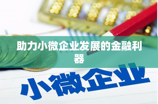 和布克赛尔助力小微企业发展的金融利器