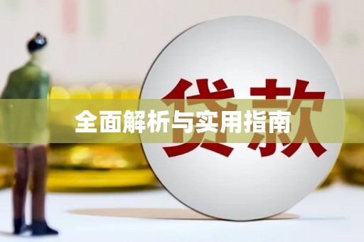 和布克赛尔全面解析与实用指南