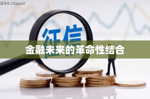 和布克赛尔金融未来的革命性结合