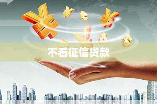 和布克赛尔不看征信贷款
